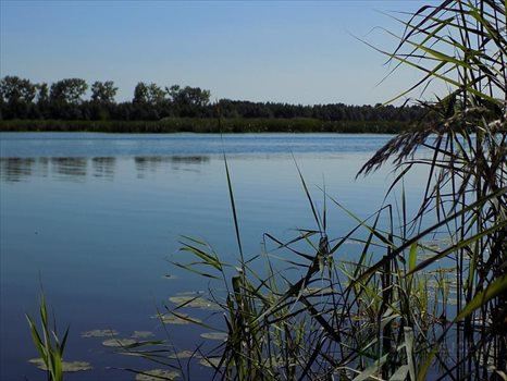 Działka inna na sprzedaż Trzepowo, Trzepowo, Trzepowo 1 644m2 Foto 2