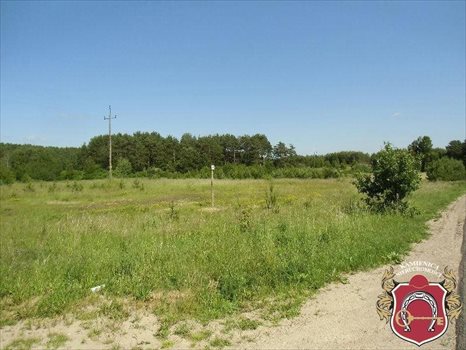 Działka komercyjna na sprzedaż Zakrzewo 12 400m2 Foto 5