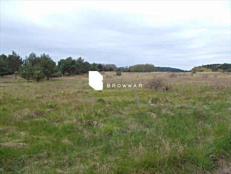 Działka budowlana na sprzedaż Silna 2 969m2 Foto 6
