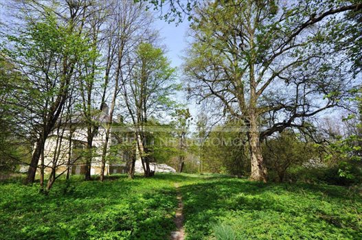 Dom na sprzedaż Olszanka, Olszanka 1 000m2 Foto 9