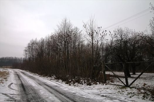 Działka budowlana na sprzedaż Strażów 3 300m2 Foto 7