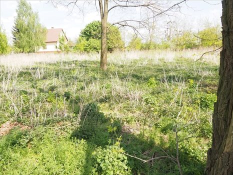 Działka inna na sprzedaż Chełm, Chełm 1 156m2 Foto 4