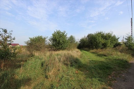 Działka rolna na sprzedaż Dołuje 915m2 Foto 2