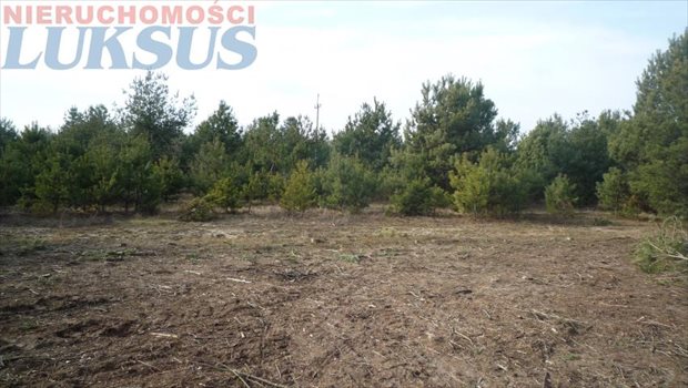 Działka budowlana na sprzedaż Prace Duże, Prace Duże 1 204m2 Foto 3