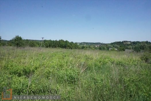 Działka budowlana na sprzedaż Balice 6 700m2 Foto 1