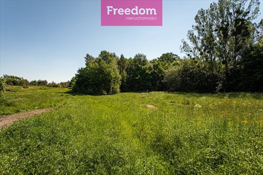 Działka siedliskowa na sprzedaż Graniczna Wieś, Jarzębinowa 6 000m2 Foto 3
