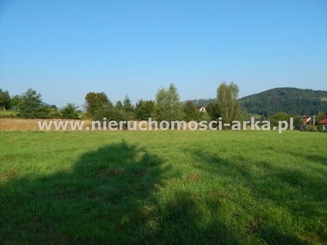Działka budowlana na sprzedaż Dobra 3 100m2 Foto 3
