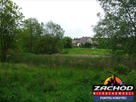 Działka budowlana na sprzedaż Przytok 22 600m2 Foto 5