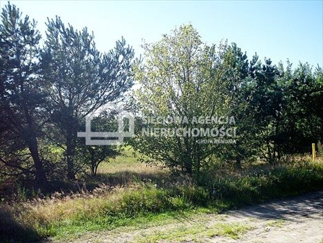Działka budowlana na sprzedaż Dobrzewino 1 050m2 Foto 4