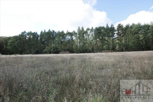 Działka budowlana na sprzedaż Radecz 1 000m2 Foto 4