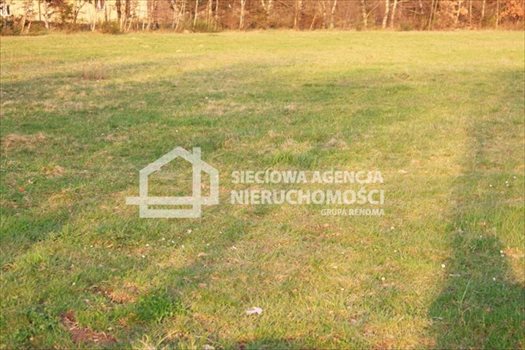 Działka budowlana na sprzedaż Tokary 1 346m2 Foto 3