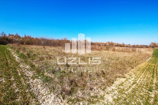 Działka inna na sprzedaż Starogard Gdański, Rolna 2 121m2 Foto 8