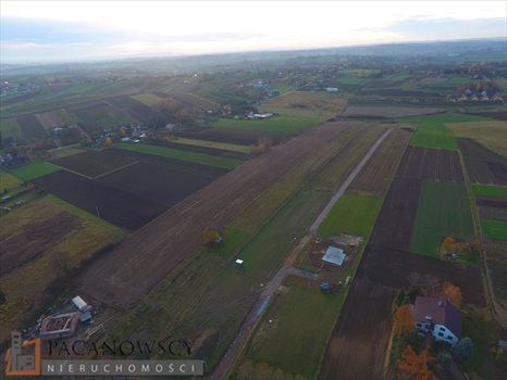 Działka budowlana na sprzedaż Sieborowice 10 000m2 Foto 5