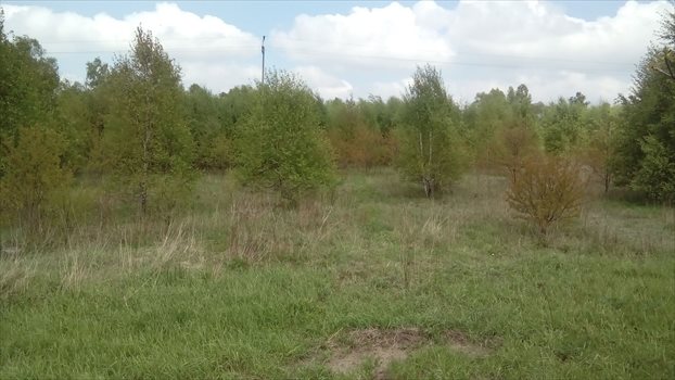 Działka rolna na sprzedaż Łódź, Widzew, Opolska 14 997m2 Foto 5