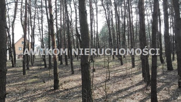 Działka leśna na sprzedaż Skierniewice 8 837m2 Foto 2