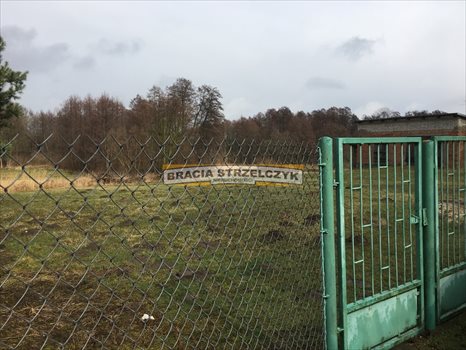 Działka inna na sprzedaż Górka Powielińska 5 500m2 Foto 5