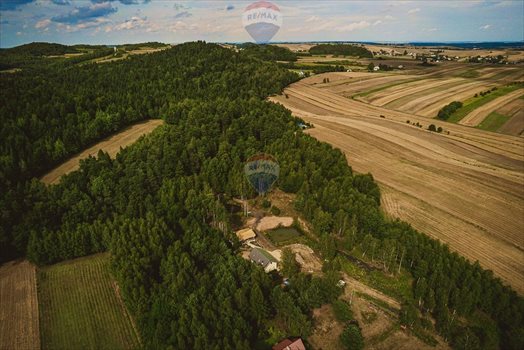 Działka siedliskowa na sprzedaż Strzegowa 14 599m2 Foto 12