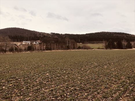 Działka budowlana na sprzedaż Sulistrowice, Nowa 1 200m2 Foto 12