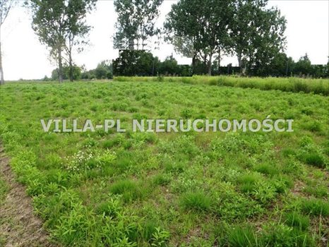 Działka budowlana na sprzedaż Dąbrówka Wielka 1 000m2 Foto 1