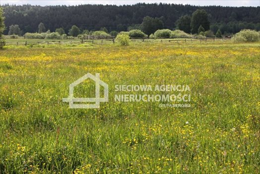 Działka budowlana na sprzedaż Lubowidz 1 083m2 Foto 4