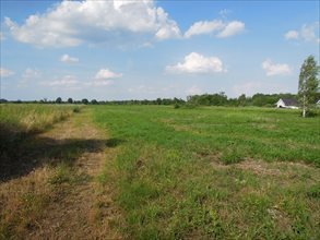 Działka budowlana na sprzedaż Wrocław, Fabryczna, Sieroszowicka 10 200m2 Foto 2