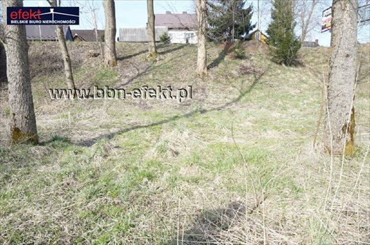 Działka inwestycyjna na sprzedaż Jeleśnia 1 323m2 Foto 8
