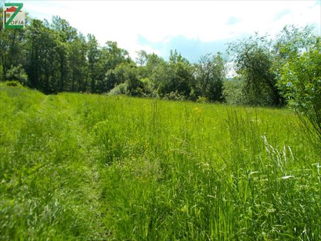 Działka budowlana na sprzedaż RABKA-ZDRÓJ 9 232m2 Foto 3