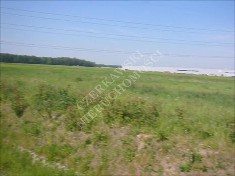 Działka inna na sprzedaż Gliwice, Brzezinka 10 000m2 Foto 2