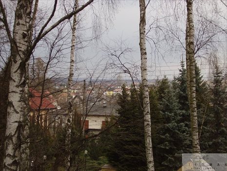 Lokal użytkowy na sprzedaż Starowa Góra 500m2 Foto 6