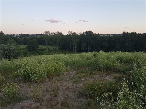Działka budowlana na sprzedaż Żukowo, Jana Pawła II 16 708m2 Foto 4