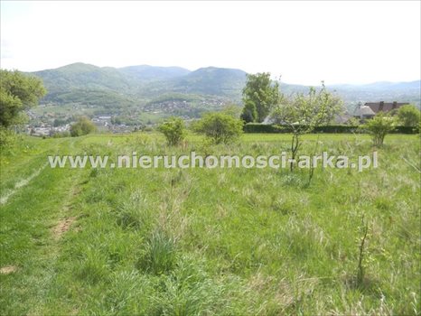 Działka budowlana na sprzedaż Limanowa 2 200m2 Foto 2
