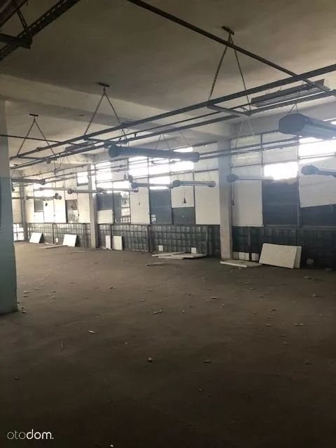 Lokal użytkowy na sprzedaż Kietrz, Okrzei 21 2 500m2 Foto 4