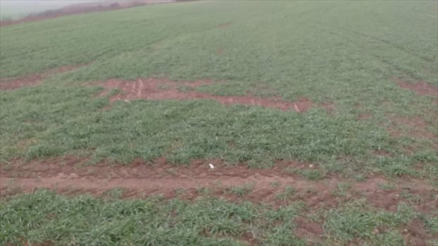 Działka gospodarstwo rolne na sprzedaż Ełk 7 000 000m2 Foto 10