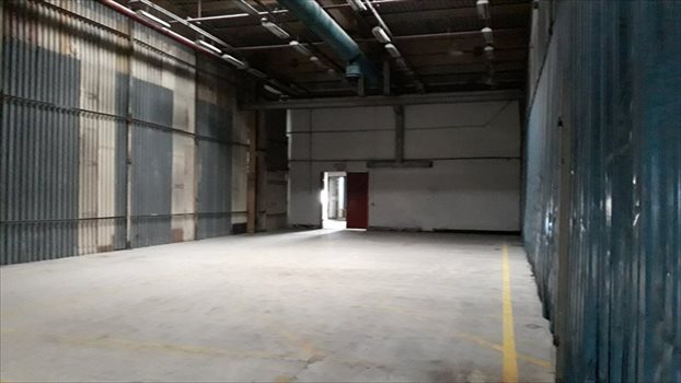 Lokal użytkowy na wynajem Hala Produkcyjna / Magazyn - 800 m2 . PIASECZNO 800m2 Foto 4