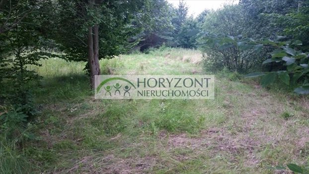 Działka budowlana na sprzedaż Czapielsk 3 348m2 Foto 1