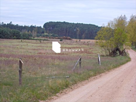 Działka budowlana na sprzedaż Silna 2 969m2 Foto 3