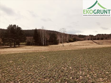 Działka budowlana na sprzedaż Sulistrowice, Nowa 1 200m2 Foto 1