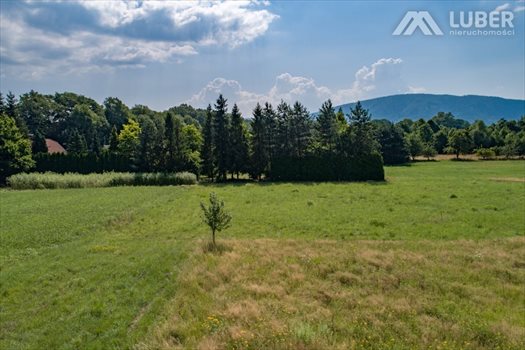 Działka budowlana na sprzedaż Czaniec 773m2 Foto 6
