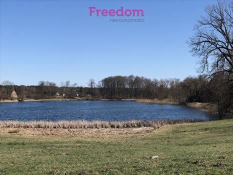 Działka inna na sprzedaż Krzywe 7 900m2 Foto 1