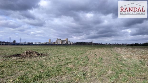 Działka inwestycyjna na sprzedaż Kępa 12 452m2 Foto 3