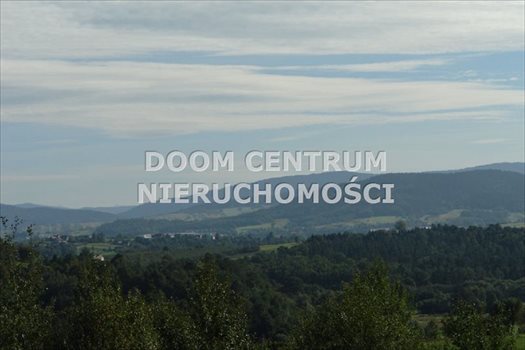 Działka budowlana na sprzedaż Włosań 1 200m2 Foto 2