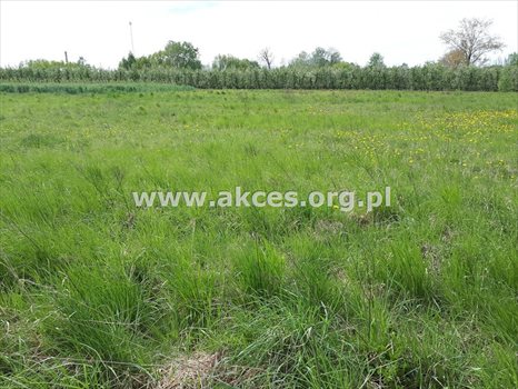 Działka inna na sprzedaż Komorniki 14 814m2 Foto 4