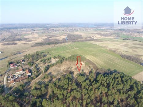 Działka inna na sprzedaż Kabikiejmy Dolne 3 331m2 Foto 4