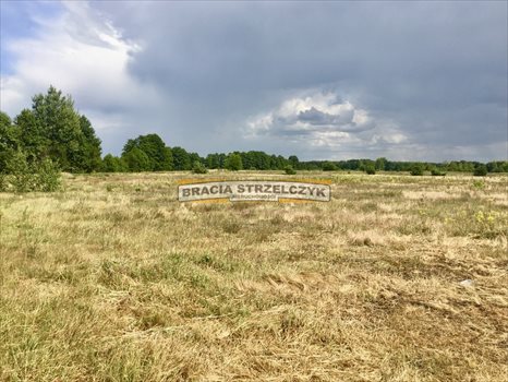Działka siedliskowa na sprzedaż Stary Lubiel 7 400m2 Foto 3