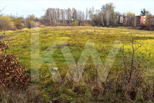 Działka przemysłowo-handlowa na sprzedaż Jastrzębie-Zdrój, Górnicza 22 591m2 Foto 6