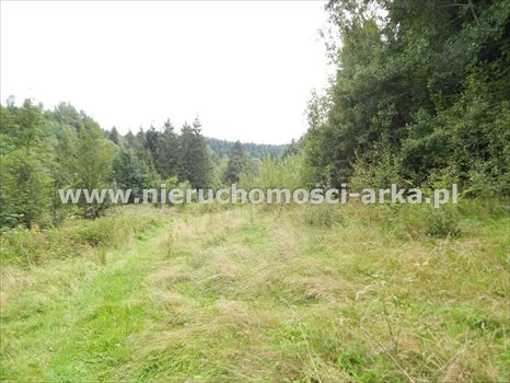 Działka inna na sprzedaż Szczawa 4 800m2 Foto 8