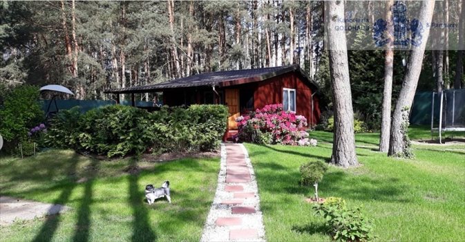 Działka rekreacyjna na sprzedaż Nowe Załubice 1 500m2 Foto 1