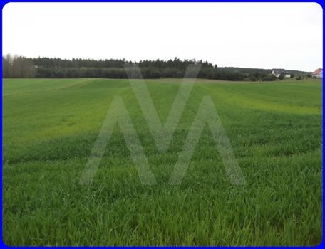 Działka siedliskowa na sprzedaż Trąbki Małe, Las, Przy lesie 23 300m2 Foto 2