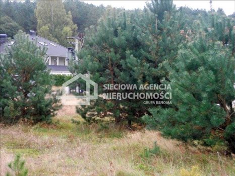 Działka budowlana na sprzedaż Swornegacie 2 073m2 Foto 6