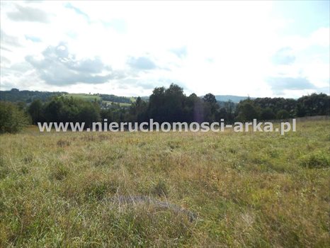 Działka inna na sprzedaż Rabka-Zdrój 3 000m2 Foto 4